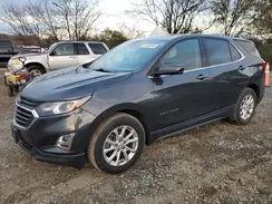 2GNAXKEV8K6196366 2019 CHEVROLET EQUINOX