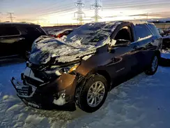2GNAXKEV8L6182789 2020 CHEVROLET EQUINOX