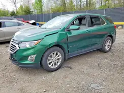 2GNAXKEV9K6113981 2019 CHEVROLET EQUINOX