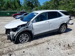 2GNAXKEV9L6217128 2020 CHEVROLET EQUINOX