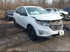 2GNAXLEX5K6206925 2019 CHEVROLET EQUINOX