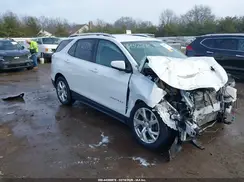 2GNAXLEX9K6299593 2019 CHEVROLET EQUINOX