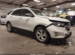 2GNAXNEV0K6217695 2019 CHEVROLET EQUINOX