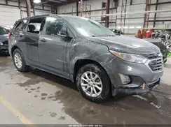 2GNAXSEV1K6102196 2019 CHEVROLET EQUINOX