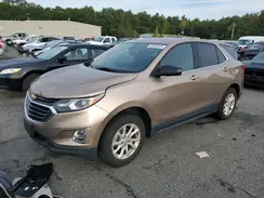 2GNAXTEV4K6137532 2019 CHEVROLET EQUINOX