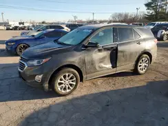 2GNAXTEV8K6142135 2019 CHEVROLET EQUINOX