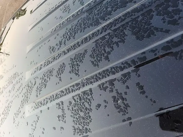 2GNAXTEVXK6258646 2019 CHEVROLET EQUINOX - Image 2