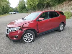 2GNAXUEV1K6102856 2019 CHEVROLET EQUINOX