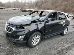 2GNAXUEV1K6187407 2019 CHEVROLET EQUINOX