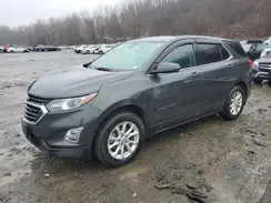 2GNAXUEV1K6208787 2019 CHEVROLET EQUINOX