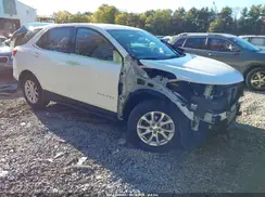 2GNAXUEV3K6236607 2019 CHEVROLET EQUINOX