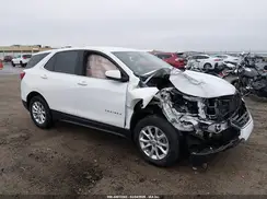 2GNAXUEV5K6190892 2019 CHEVROLET EQUINOX