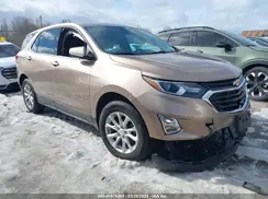 2GNAXUEV6K6219445 2019 CHEVROLET EQUINOX
