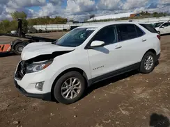 2GNAXUEV8K6178137 2019 CHEVROLET EQUINOX