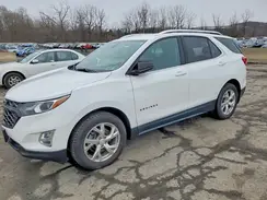 2GNAXVEX0K6191259 2019 CHEVROLET EQUINOX