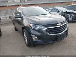 2GNAXVEX1K6217707 2019 CHEVROLET EQUINOX
