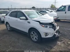 2GNAXVEX1K6233521 2019 CHEVROLET EQUINOX