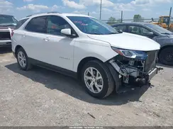 2GNAXVEX8K6206316 2019 CHEVROLET EQUINOX