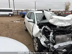 2GNAXXEV7K6133451 2019 CHEVROLET EQUINOX