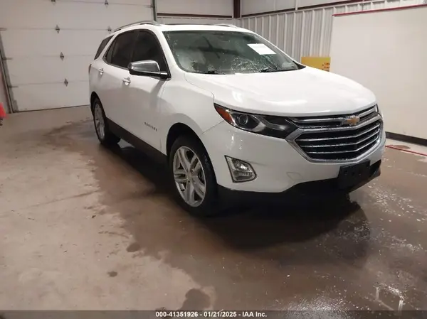 2GNAXYEX1K6203890 2019 CHEVROLET EQUINOX - Image 1
