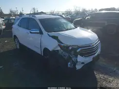 2GNAXYEX7K6167865 2019 CHEVROLET EQUINOX
