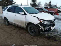 2GNAXYEX9L6209454 2020 CHEVROLET EQUINOX