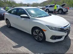 2HGFC1F31HH631924 2017 HONDA CIVIC