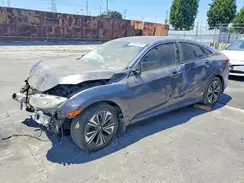 2HGFC1F31HH655477 2017 HONDA CIVIC