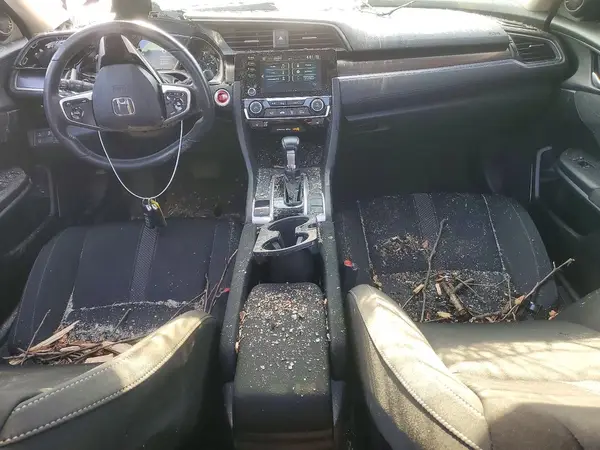 2HGFC1F31KH650951 2019 HONDA CIVIC - Image 8