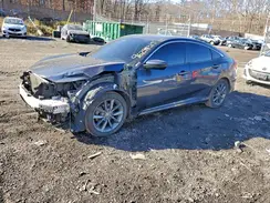 2HGFC1F31LH681764 2020 HONDA CIVIC