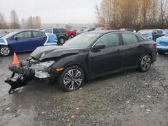 2HGFC1F34HH659572 2017 HONDA CIVIC