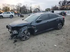 2HGFC1F42HH646991 2017 HONDA CIVIC