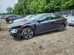2HGFC1F70HH658695 2017 HONDA CIVIC