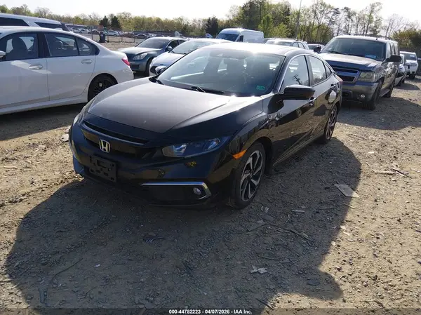 2HGFC1F71KH652086 2019 HONDA CIVIC - Image 2