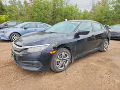 2HGFC2F50HH014831 2017 HONDA CIVIC