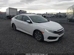 2HGFC2F50HH029653 2017 HONDA CIVIC