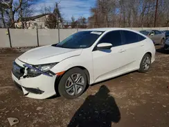 2HGFC2F50HH513399 2017 HONDA CIVIC