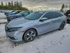 2HGFC2F50LH003482 2020 HONDA CIVIC