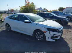 2HGFC2F51HH005653 2017 HONDA CIVIC
