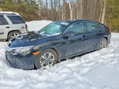2HGFC2F51HH007435 2017 HONDA CIVIC
