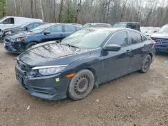 2HGFC2F51HH032657 2017 HONDA CIVIC