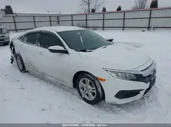 2HGFC2F51HH504582 2017 HONDA CIVIC