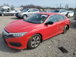 2HGFC2F51HH569173 2017 HONDA CIVIC