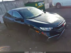 2HGFC2F51KH010052 2019 HONDA CIVIC