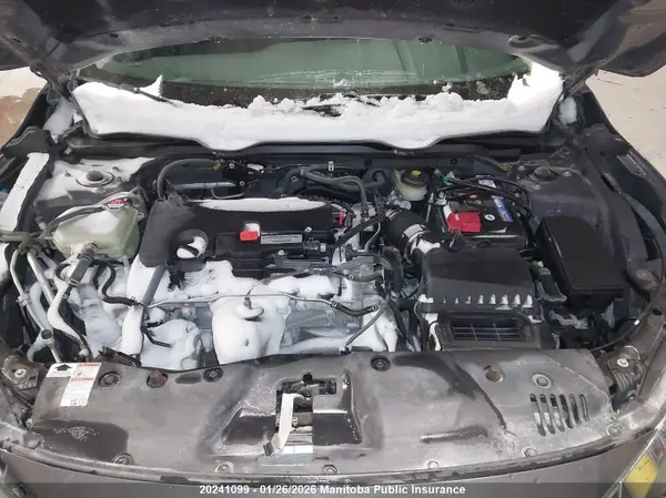 2HGFC2F52HH020419 2017 HONDA CIVIC - Image 8