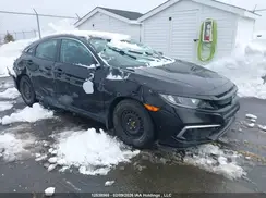 2HGFC2F53MH008175 2021 HONDA CIVIC