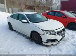 2HGFC2F55HH017594 2017 HONDA CIVIC