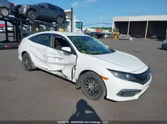 2HGFC2F56KH017482 2019 HONDA CIVIC