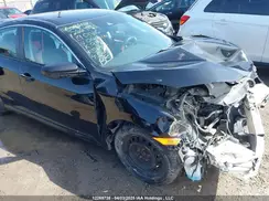 2HGFC2F56KH044116 2019 HONDA CIVIC