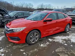 2HGFC2F59HH548765 2017 HONDA CIVIC